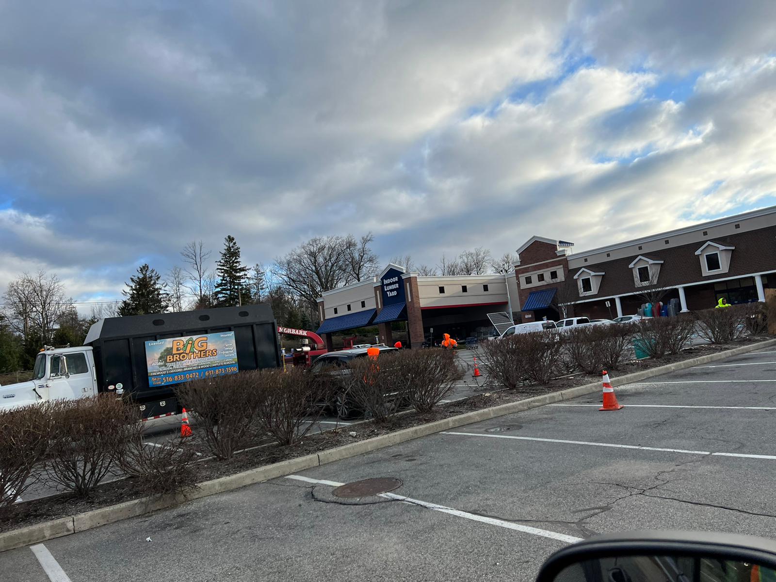 Big Brothers Tree Service Image